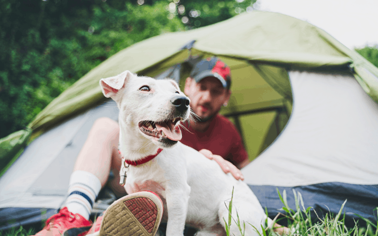 How To Keep Your Dog Warm While Camping - Camping cubs