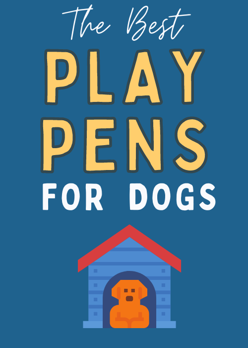 best-play-pens-for-dogs